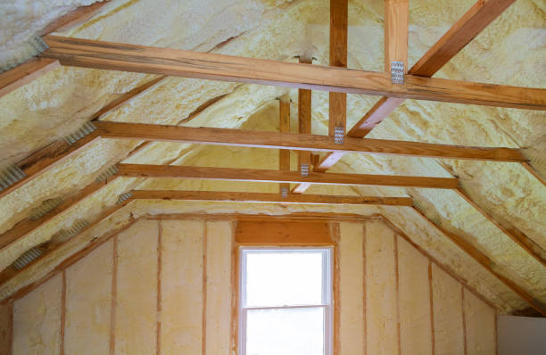 Best Commercial Insulation in Trinity, TX