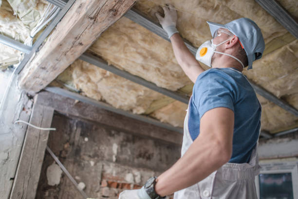 Best Insulation Installation Services in Trinity, TX